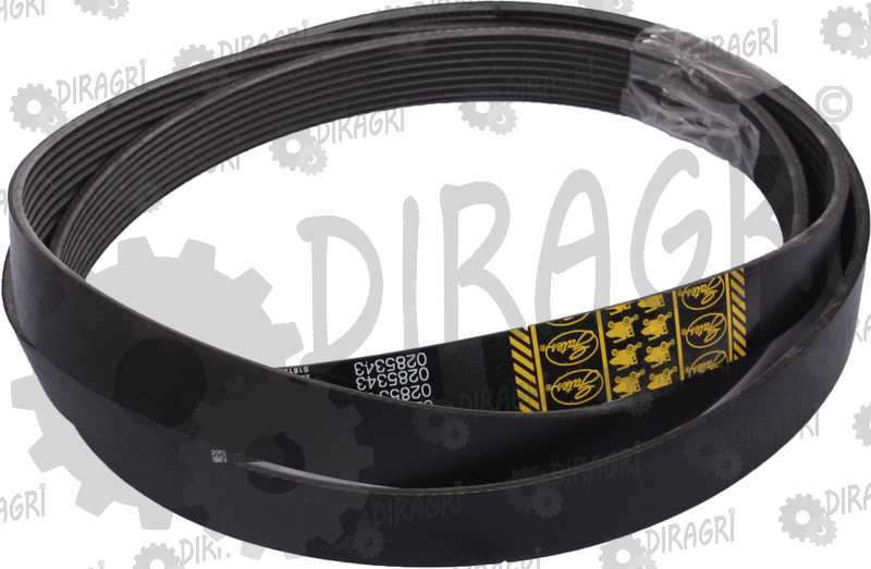 COURROIE (Gates / Optibelt, Conti)*